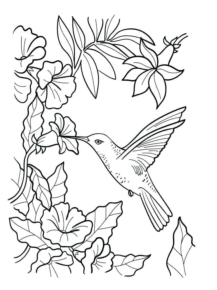 750x1000 Flower Bouquet Coloring Pages Synthesis.site