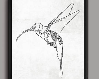 340x270 Hummingbird Drawing Framed Drawing Art Hummingbird Art