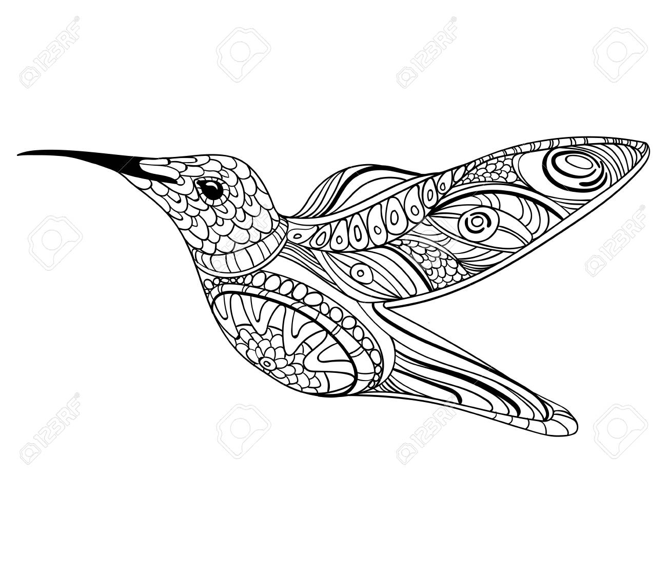 1300x1125 Vector Illustration Of A Hummingbird. Drawing With Ornaments