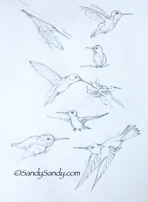 515x700 Drawing Everyday Pretty Woman And Seven Happy Hummingbirds