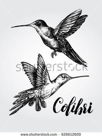 347x470 Drawn Hummingbird Two
