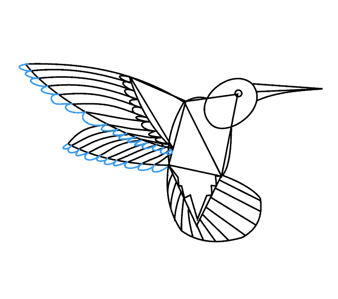 678x600 How To Draw A Hummingbird Easy Step By Step Drawing Guides