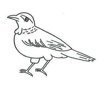 333x289 Hummingbird Clipart Clipartpen