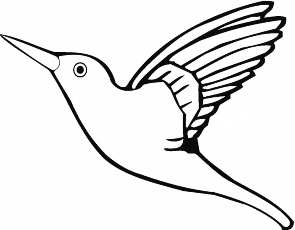 940x733 Hummingbird Coloring Page 433333