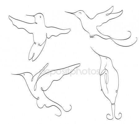 450x402 Hummingbird Symbol Line Art Set On White. Stylized Drawing By Ha