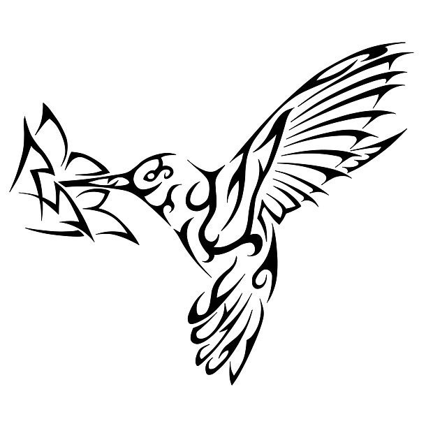 610x610 Collection Of Tribal Hummingbird Tattoo Pic