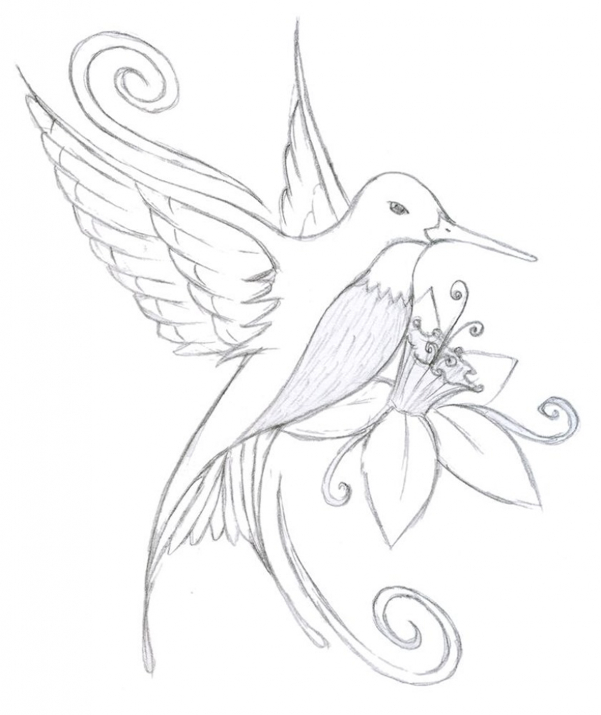 861x1024 Drawing A Hummingbird Hummingbird Drawing Best Images Collections