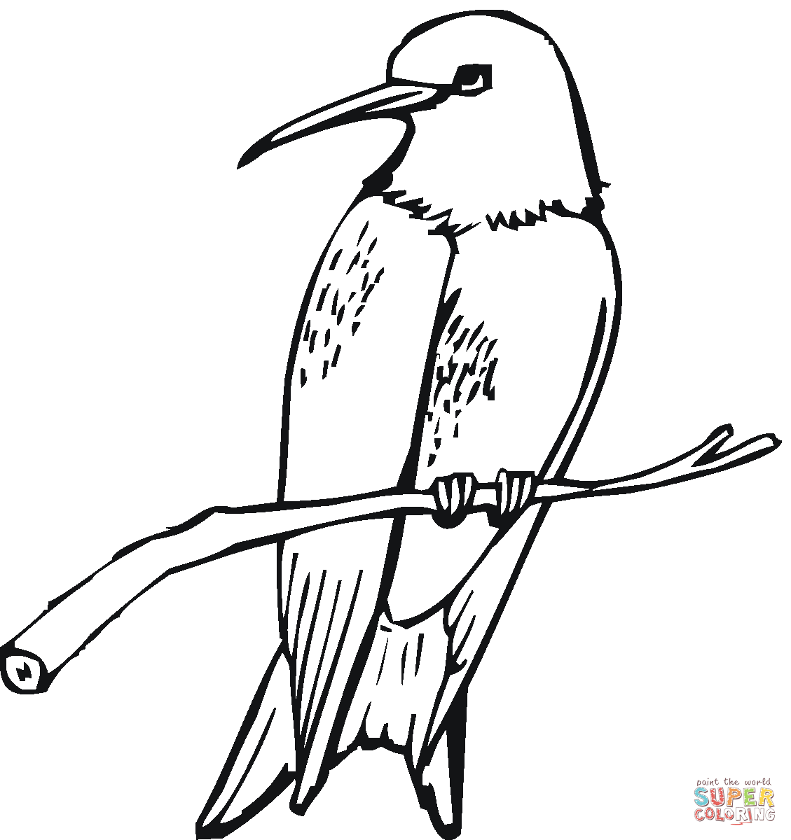 1129x1200 Hummingbirds Coloring Pages Free Coloring Pages