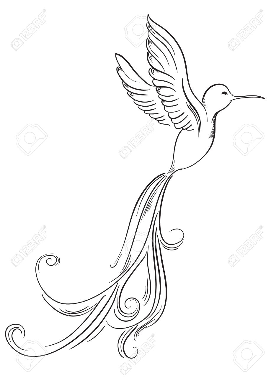 935x1300 Sketch Of Hummingbird Hand Drawn Tattoo Birds Royalty Free