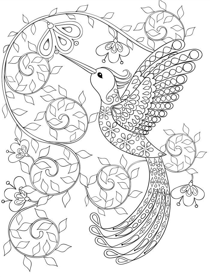 700x924 Hummingbird Coloring Pages For Adults Coloring Pages