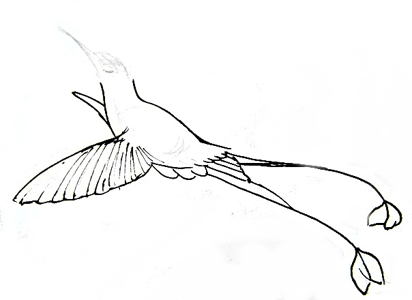 412x300 How To Draw A Hummingbird