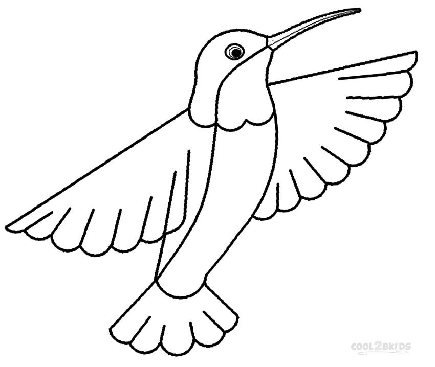 850x718 Hummingbird Coloring Pictures