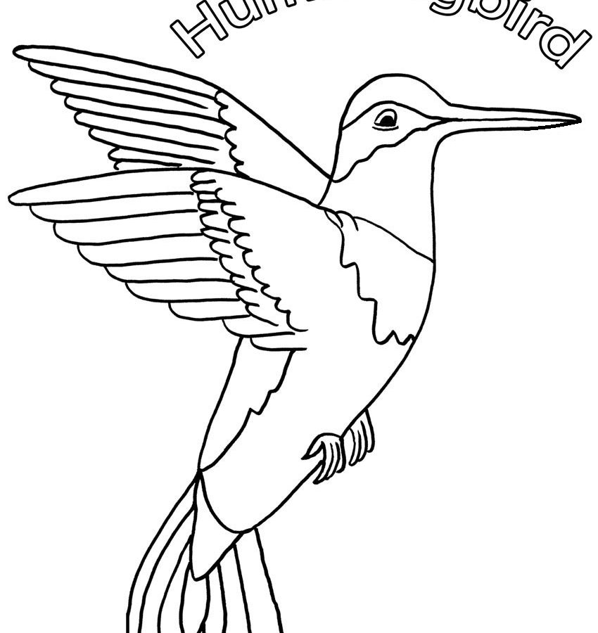 850x900 Popular Hummingbird Coloring Pictures Beautiful Page Printable