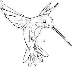 236x222 Simple Hummingbird Outline Tattoo Idea More Hummingbird Tattoo