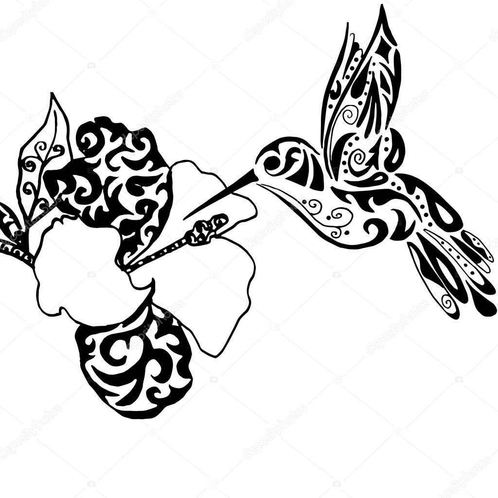 1024x1024 Hiqh Qualiti Hummingbird And Orchid For Coloring Or Tattoo Isol