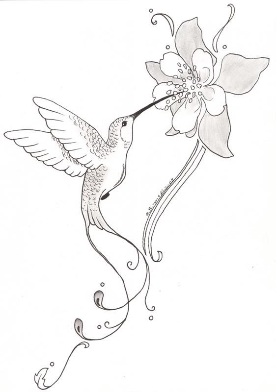 562x800 Hummingbirds And Flowers Drawing Thin Blog