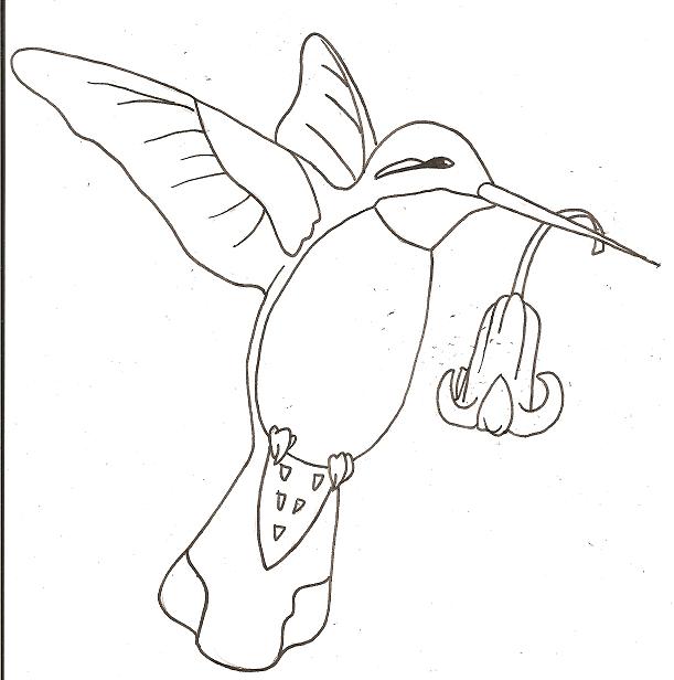 611x616 Tatos Me Free Tattoo Designs Hummingbird