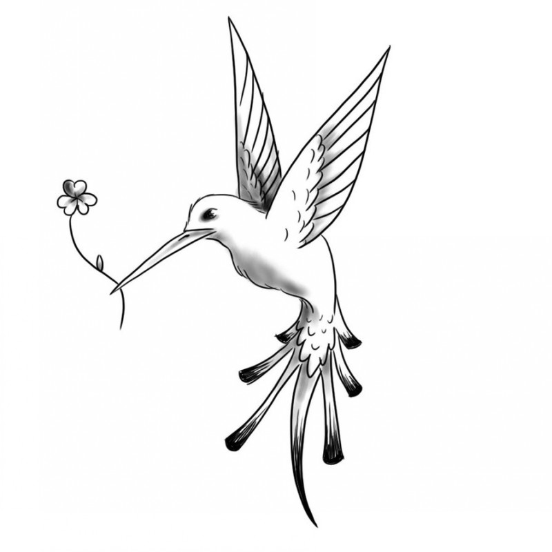 800x800 Tattoo White Flying Hummingbird With Flower