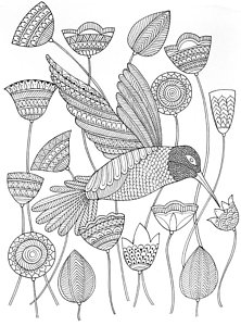 222x300 Hummingbird Drawings Fine Art America