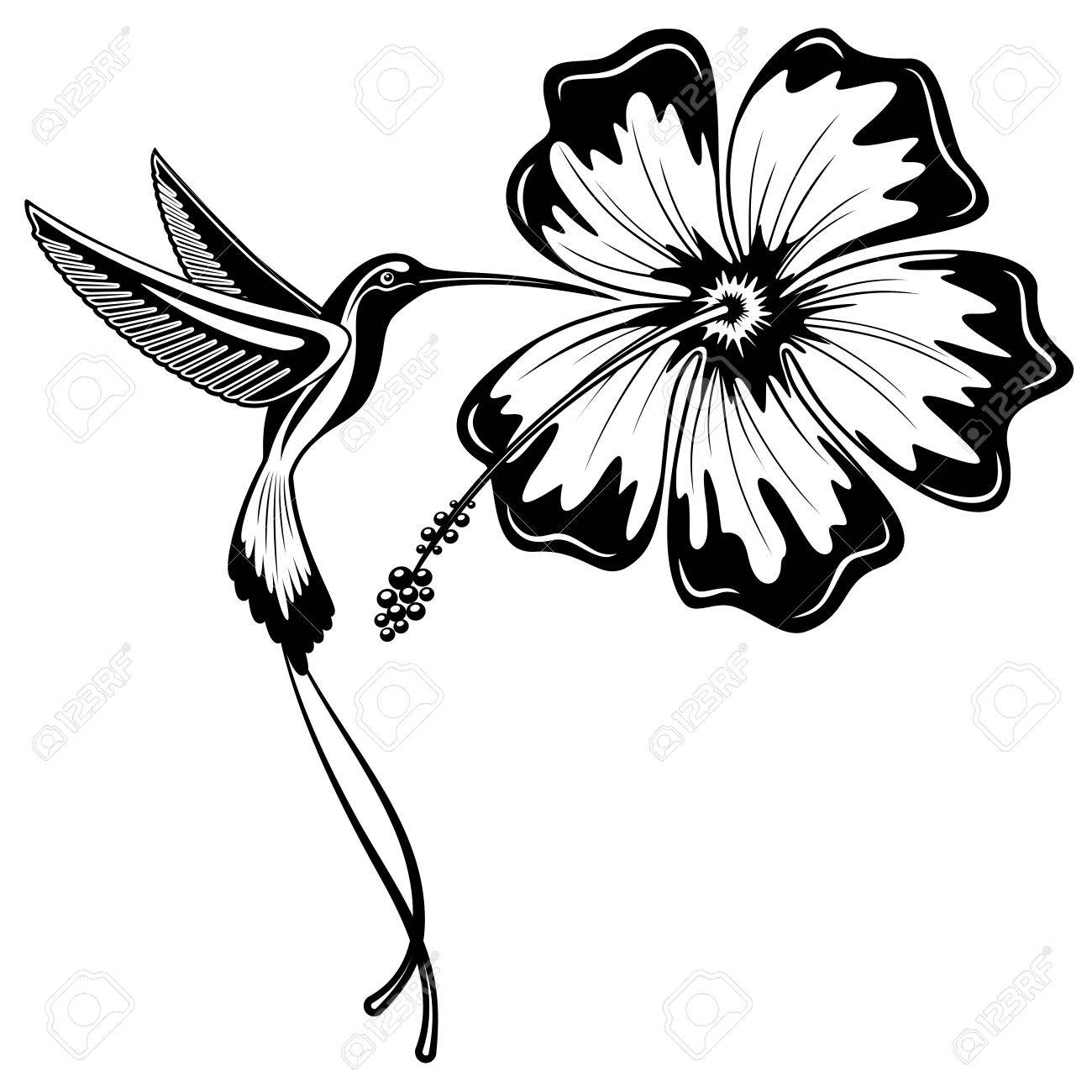 1300x1300 Hummingbird Tattoo Stock Photos Amp Pictures. Royalty Free