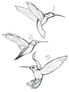236x314 Image Result For Hummingbird Orchid Tattoo Drawing Tattoo Ideas