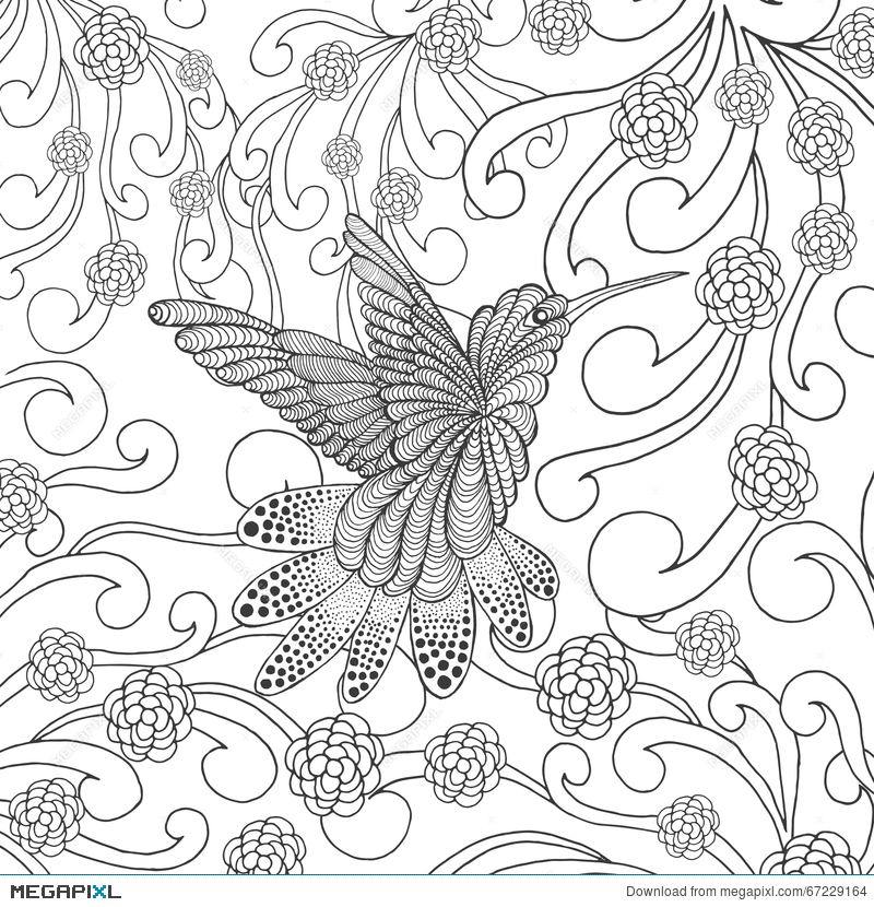 800x830 Zentangle Stylized Hummingbird In Flower Garden Illustration