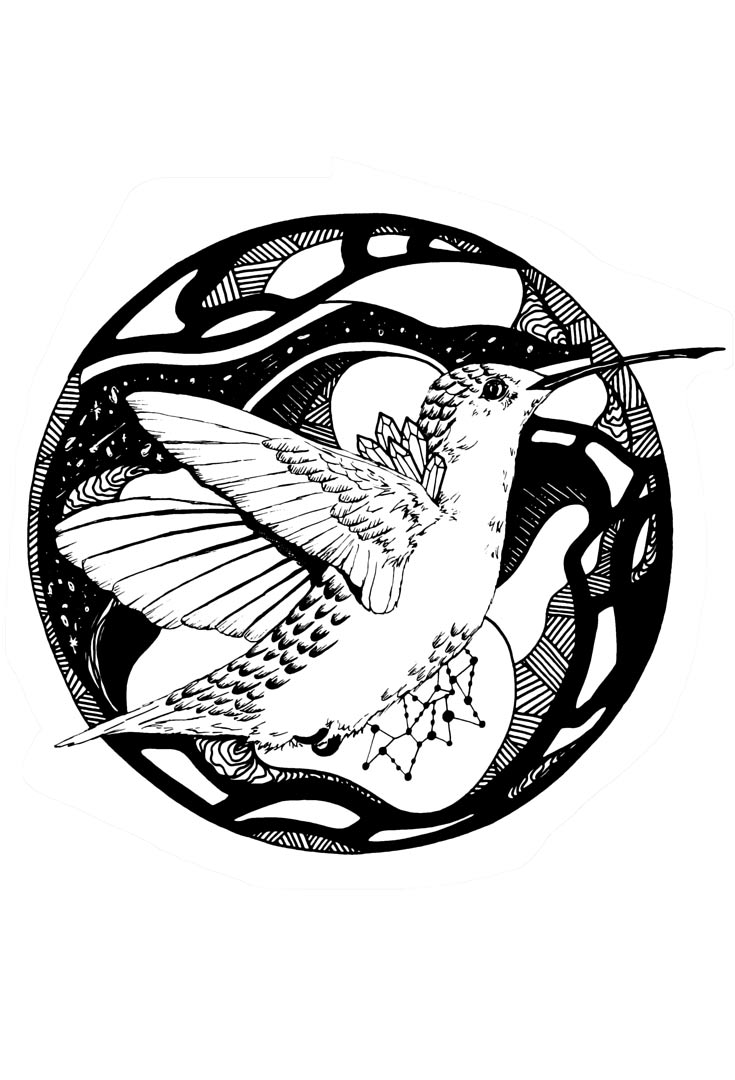 735x1080 Hummingbird Artwork The Most Beautiful Hummingbird Art Kenalsworld