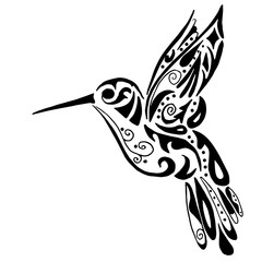 Hummingbird Line Drawing at GetDrawings | Free download