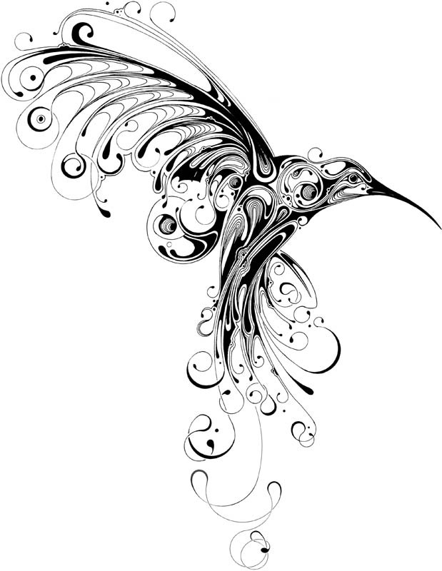 619x800 Collection Of Hummingbird Tattoo Sketch