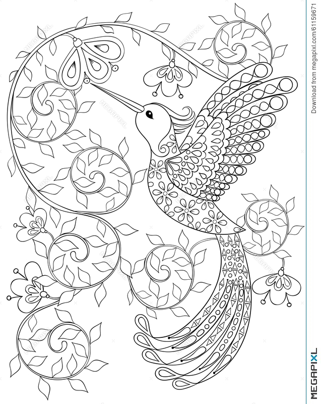 637x800 Coloring Page With Hummingbird, Zentangle Flying Bird For Adult