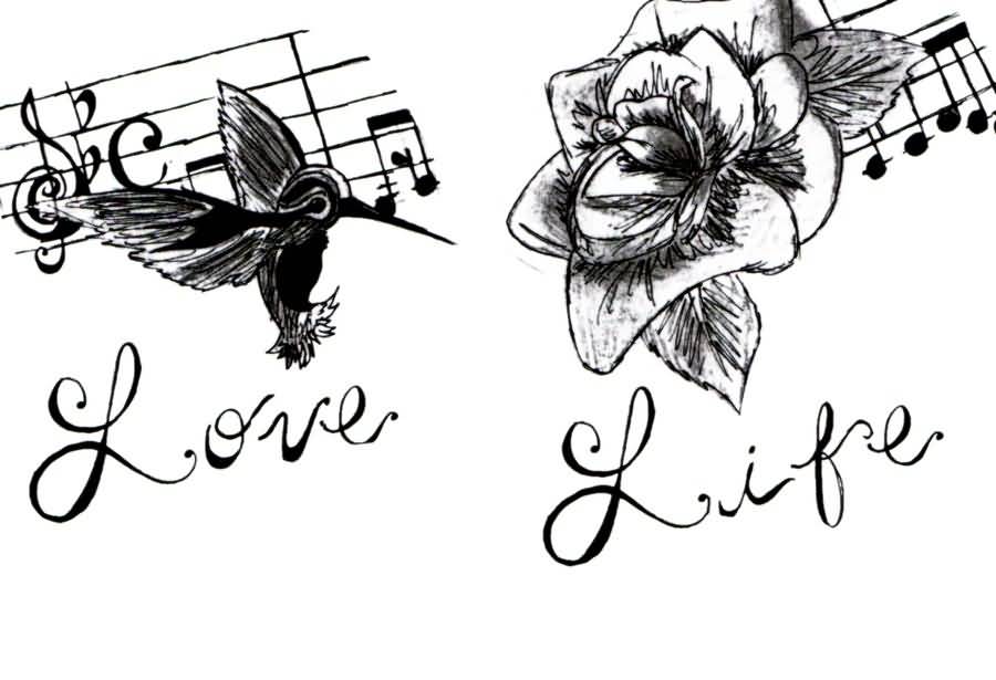 900x615 Different Type Of Hummingbird Tattoo Graphic Design
