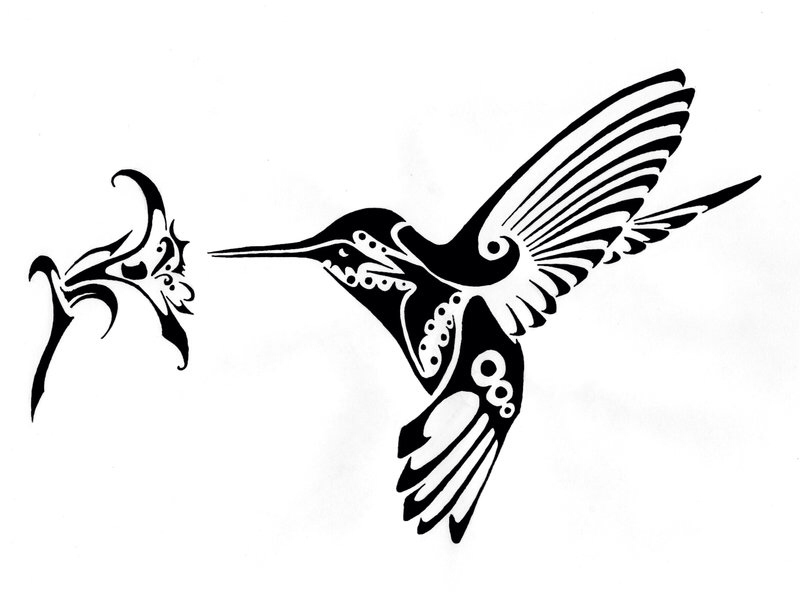 800x604 Hummingbird Tattoo Idea