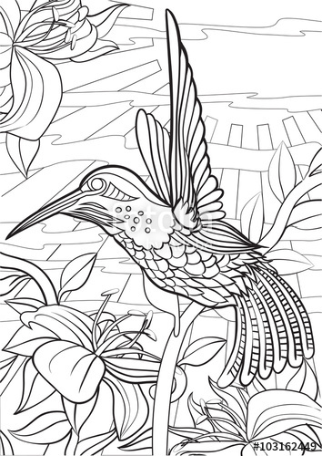 354x500 Adult Coloring Book Illustration. Tattoo Set Hummingbird