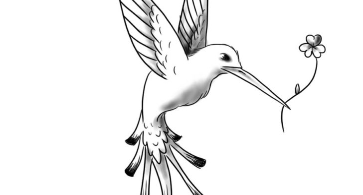 728x393 Black And Grey Hummingbird Tattoo 38 Hummingbird Tattoo Designs