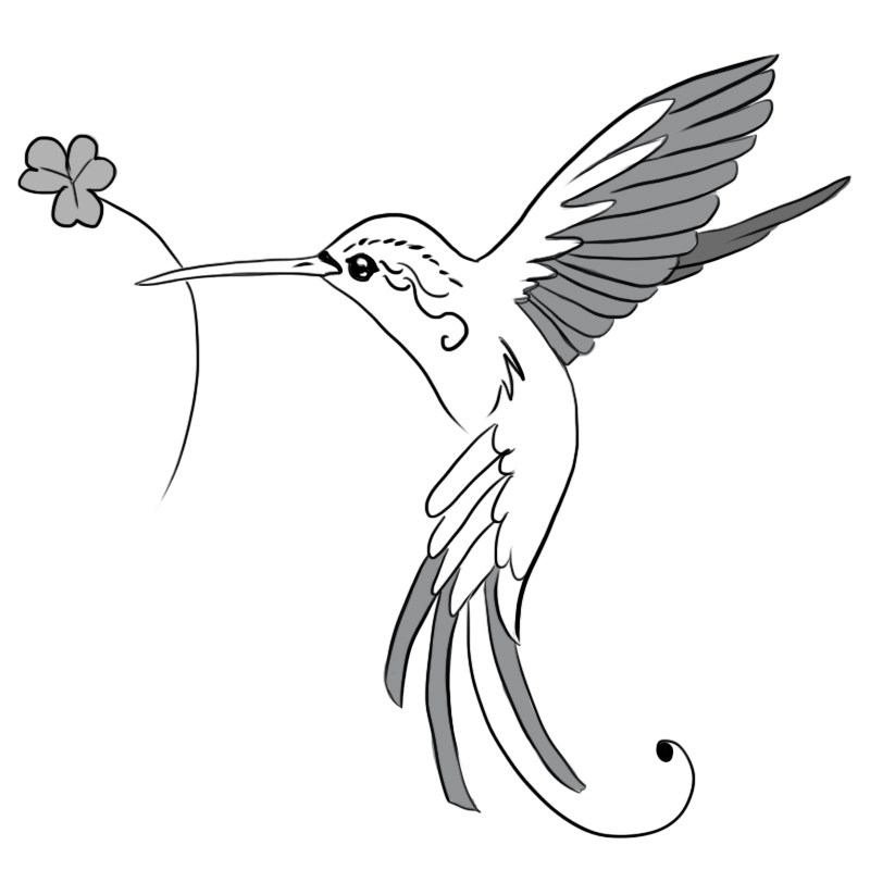 800x800 Collection Of Superb Hummingbird Tattoo Design