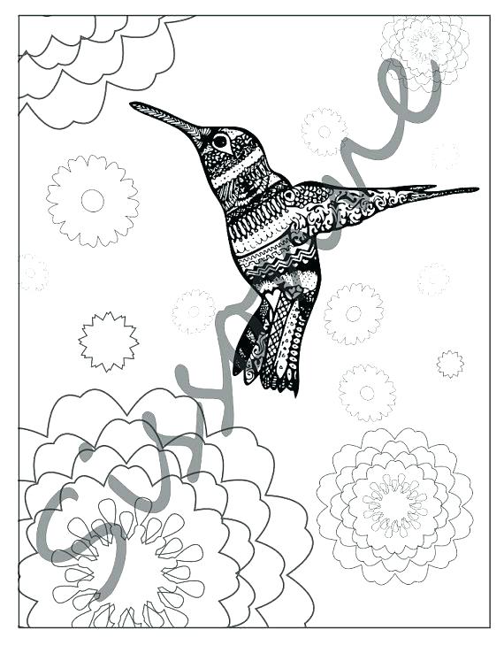 570x738 Coloring Pages Of Hummingbirds Drawn Hummingbird Black And White