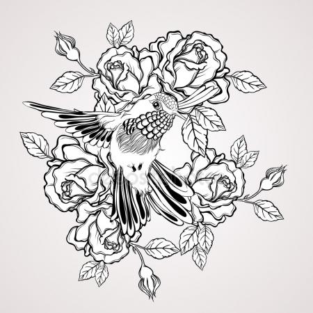 450x450 Humming Bird Stock Vectors, Royalty Free Humming Bird