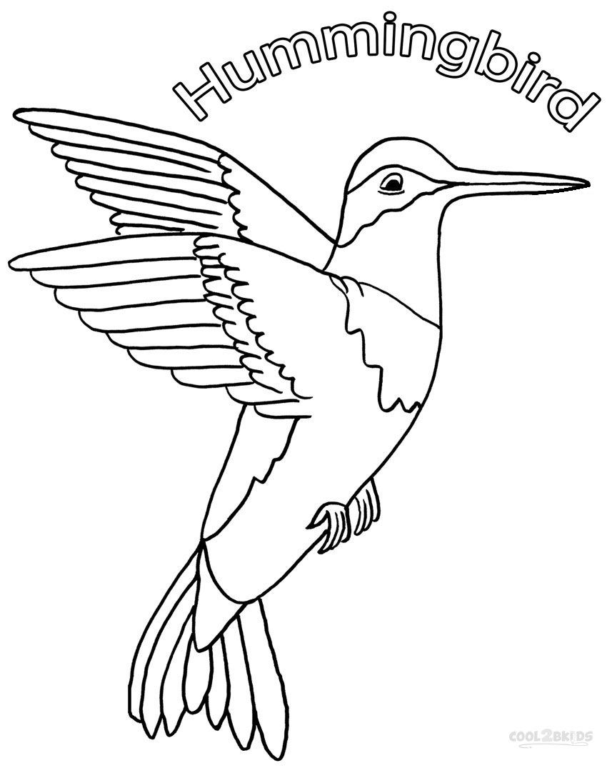 850x1075 Hummingbird Coloring Pages