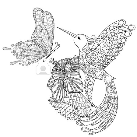 450x450 Hummingbird Drawing Stock Photos Amp Pictures. Royalty Free
