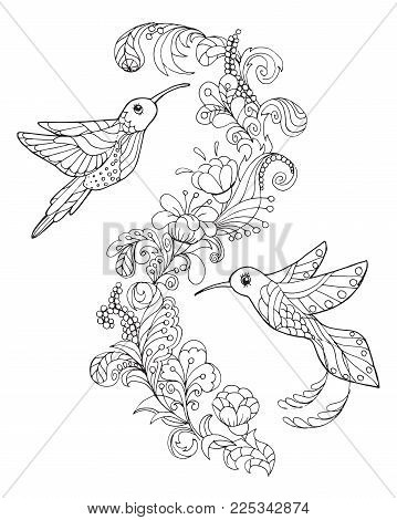 359x470 Hummingbird Images, Illustrations, Vectors