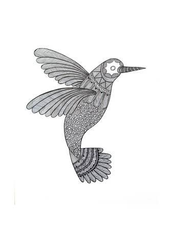 338x450 Hummingbirds, Artwork And Prints