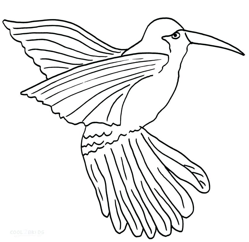 850x825 Coloring Pages Of Hummingbirds A Coloring Page With A Hummingbird