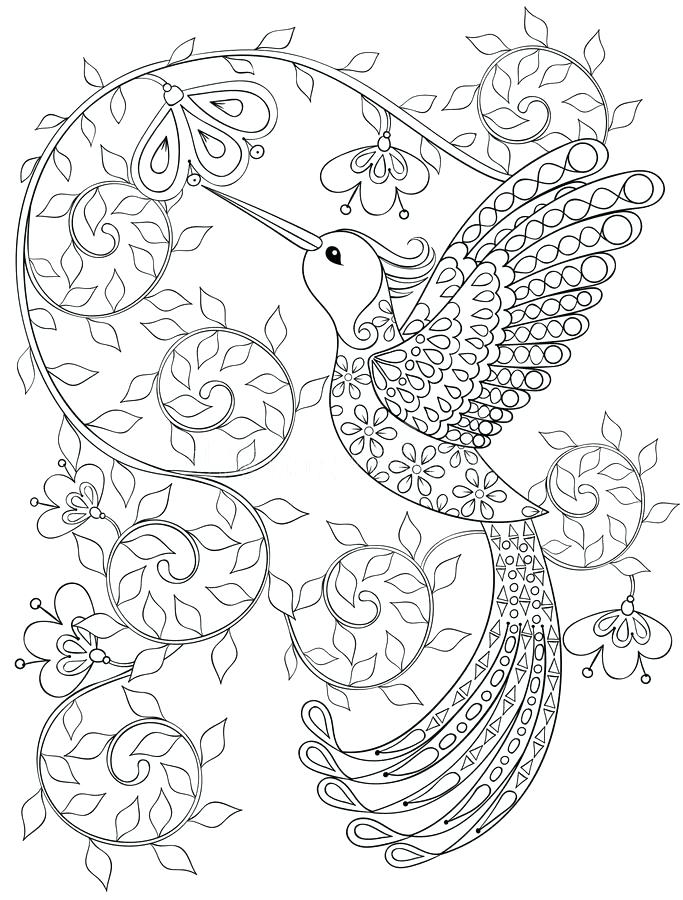 683x900 Coloring Pages Of Hummingbirds Download Page With Hummingbird