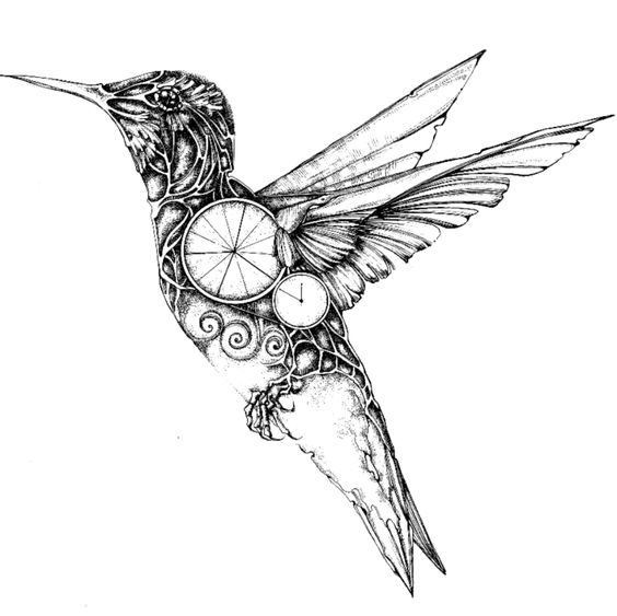 564x563 Drawn Hummingbird Mechanical Animal