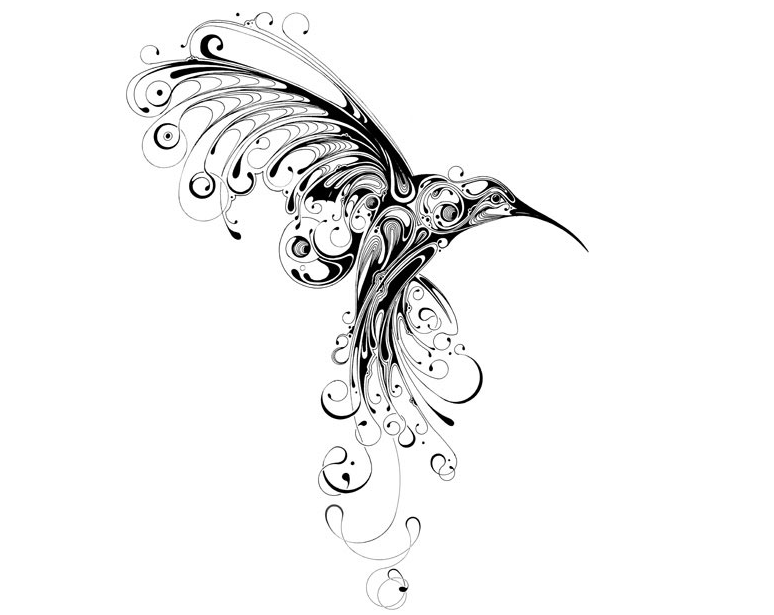 774x615 The Story Of The Hummingbird