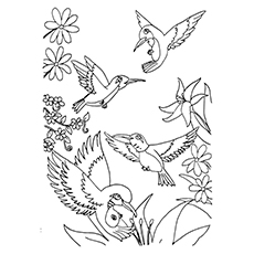 230x230 Top 10 Hummingbird Coloring Pages For Your Toddler
