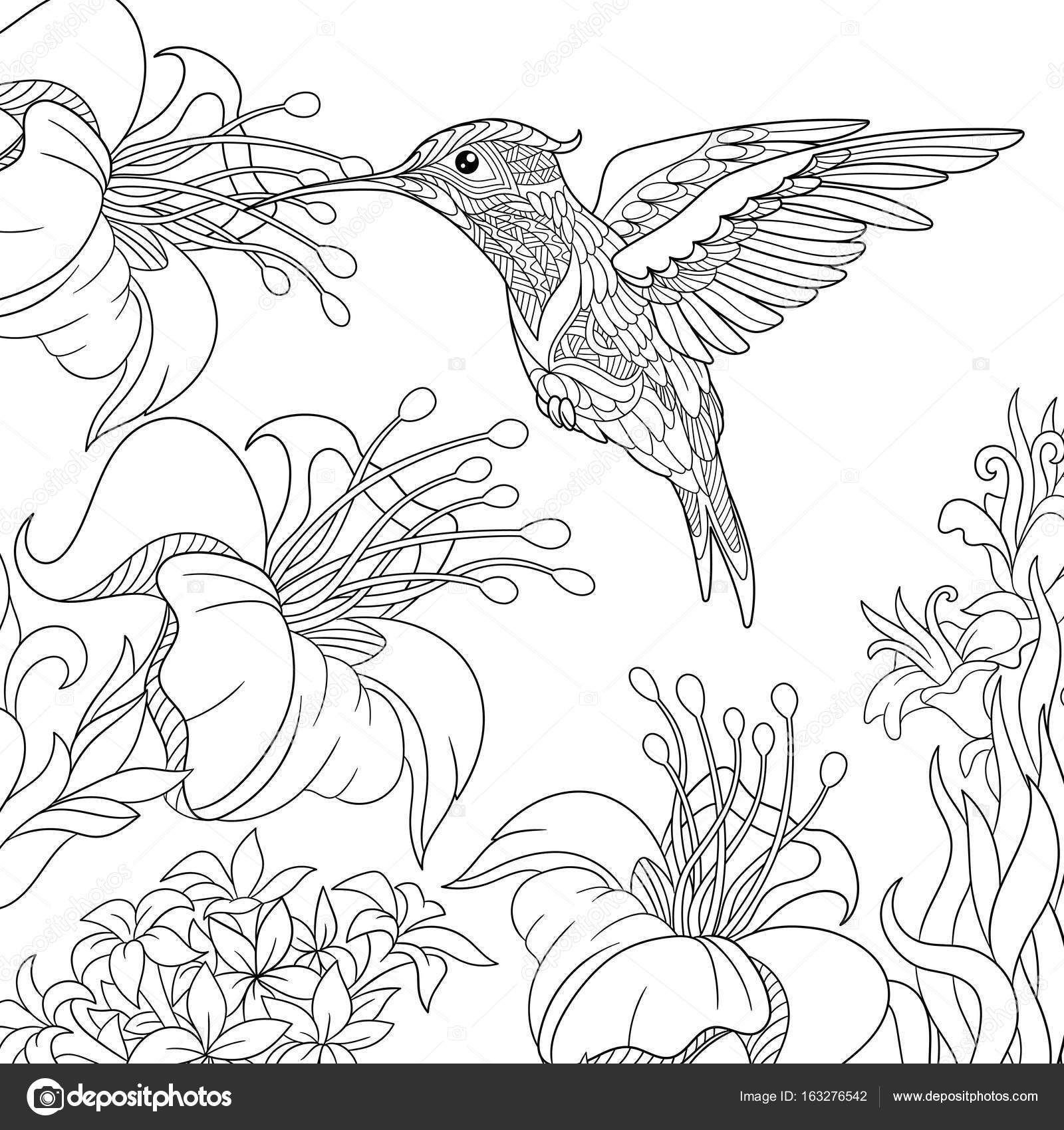 1600x1700 Zentangle Stylized Hummingbird Stock Vector Sybirko