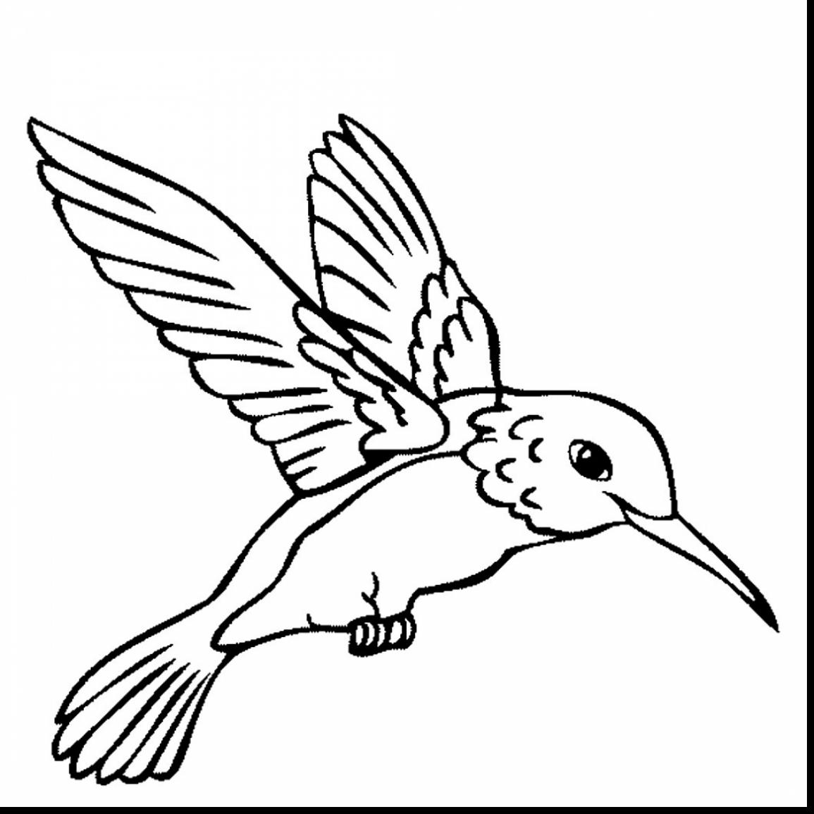 1155x1155 Astonishing Hummingbird Birds Coloring Pages With Hummingbird