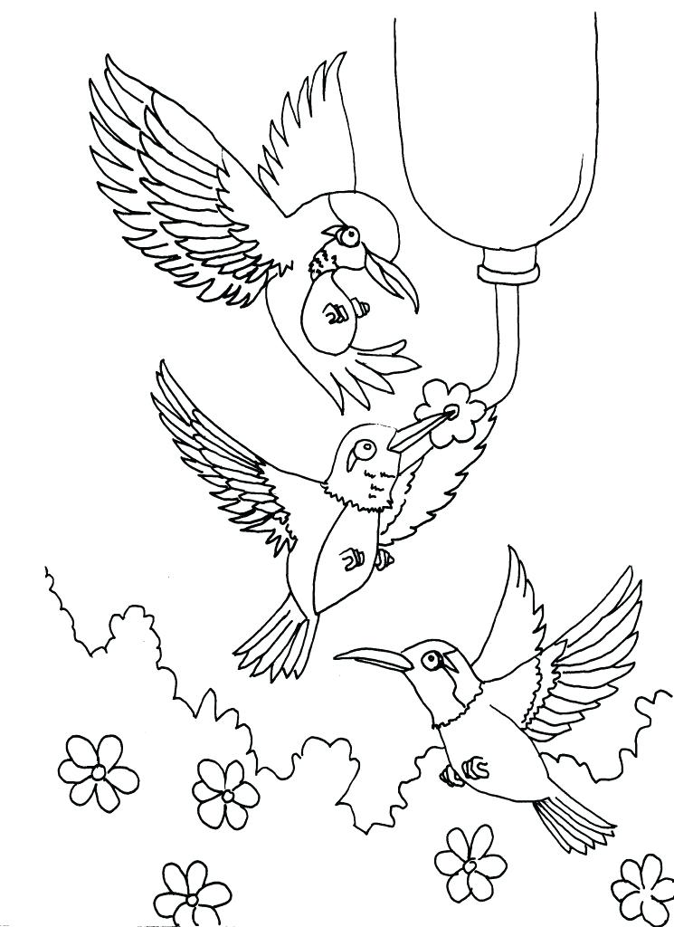 745x1024 Best Of Hummingbird Coloring Pages Images Hummingbird Coloring