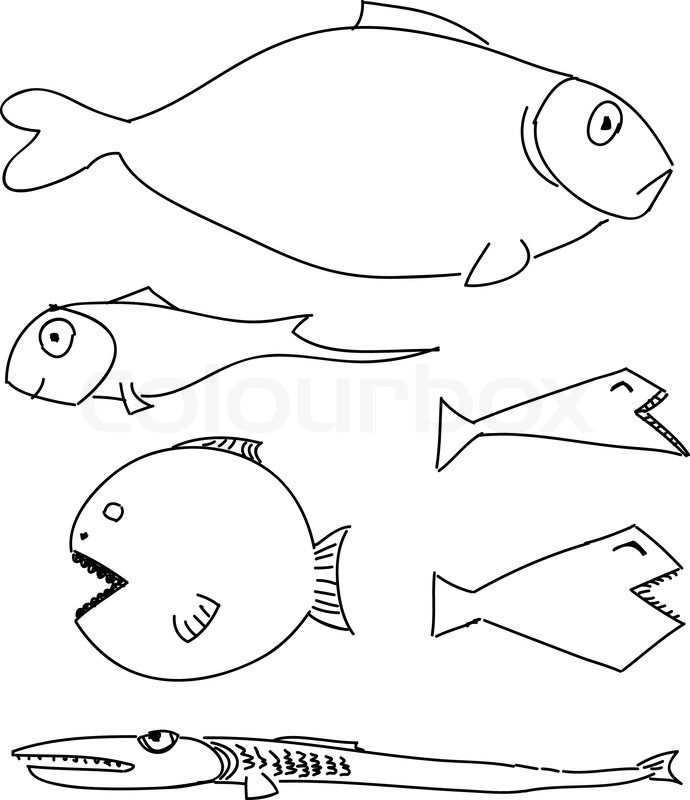 690x800 Humorous Drawing Fish Stock Vector Colourbox